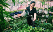 Cô giáo Hà Nội hé lộ bí kíp làm “nước thần” diệt sâu bọ, đuổi muỗi và nước lau nhà hương cam thơm mát