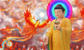 Lời Phật dạy thấu tận tâm can giúp người phiền muộn sống an yên