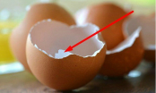 Chớ tiện tay ném bỏ vỏ trứng gà, bạn chắc chắn TIẾC ĐỨT RUỘT khi biết được công dụng CÓ MỘT KHÔNG HAI này