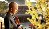 Có đức mặc sức mà ăn, Phật dạy 14 cách tích đức cải tạo vận mệnh không tốn một xu, ai cũng làm được