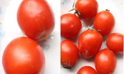 Bí quyết chọn cà chua không hóa chất, chị em tha hồ ăn mà chẳng lo ngộ độc