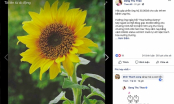 Vẽ hoa hướng dương đăng lên Facebook có giúp bệnh nhi được nhận 30.000đ?