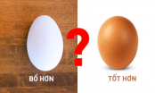 Ông chủ trang trại lớn tiết lộ bí mật: Trứng cút, trứng gà, trứng vịt - loại trứng nào bổ hơn?