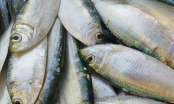 Y học chỉ ra loại cá rẻ mà bổ hơn nhân sâm Việt Nam có đầy chợ ăn đều sẽ sống khỏe thọ lâu