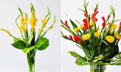 Cách giữ hoa lay ơn tươi lâu và đẹp lâu nhất để cả tết đều rực rỡ