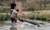 Con trai bị cá sấu cắn rồi kéo xuống sông, người cha lập tức làm hành động này khiến mọi người hãi hùng