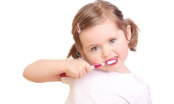 Răng trẻ không còn sâu, thẳng đều tăm tắp nhờ những phương pháp chăm sóc vô cùng hiệu quả sau của mẹ