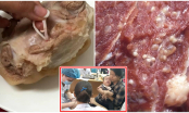 Báo động: Sán lợn hoành hành tấn công cơ thể người, thấy thịt có dấu hiệu này cố ăn là DÍNH