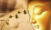 Phật dạy: Chỉ cần làm được 6 điều này, cuộc sống của bạn sẽ thăng hoa, hạnh phúc hơn mỗi ngày