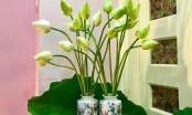 7 loại hoa bài trí trong phòng khách ắt trừ được tà, lại mang đến nhiều tài khí, may mắn cho gia chủ