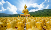 Phật dạy: Đi nhiều, khó tu!
