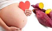 Mẹ bầu ăn khoai lang tốt như thuốc bổ: Tăng sức đề kháng, giảm dị tật thai nhi tội gì không thử