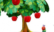 Từ hành trình chinh phục cây táo của năm chú sâu, ngẫm về con đường thành công của đời người