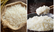 Người bán gạo không bao giờ tiết lộ cho bạn điều này: Cách chọn gạo ngon, hàng chuẩn không bị tẩm nhuộm