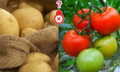 Ăn 5 loại thực phẩm này với cà chua sẽ biến thành độc dược, nguy hại khó lường, chớ dại mà mắc phải
