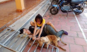 Đôi tình nhân rủ nhau đi trộm chó bị người dân bắt giữ rồi xích cùng tang vật trước hiên nhà