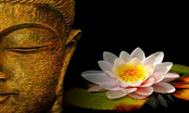 5 điều Phật dạy giúp làm thay đổi cuộc đời, hướng tới việc thiện