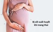 Nếu bị sốt xuất huyết khi mang thai, mẹ nhất định phải biết điều này để bảo vệ con