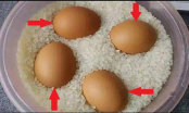 Vùi trứng vào thùng gạo thấy điều kỳ diệu xảy ra khiến ai cũng bất ngờ