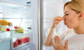 Mẹo khử mùi hôi trong tủ lạnh mới và hiệu quả nhất, 90% chúng ta không biết để áp dụng