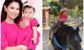 Con gái Thanh Thảo tự tin ngồi cưỡi ngựa một mình quanh sân khi mới 14 tháng, dân mạng phát hiện điểm lạ