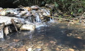 Tin mới nhất vụ nguồn nước sông Đà bị đổ trộm dầu thải