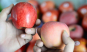 Dân buôn hoa quả tiết lộ cách phân biệt táo Mỹ và táo Trung Quốc đơn giản nhất