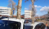 Chiếc ô tô mắc kẹt kỳ lạ bởi một chiếc cây giữa đường làm ai cũng hoang mang