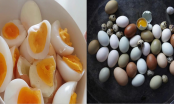 Trứng gà, trứng cút, trứng vịt loại nào là tốt nhất giúp trẻ thông minh vượt trội?