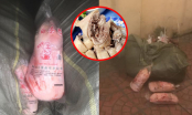 Bắt 1,4 tấn thịt vịt đông lạnh nhập lậu từ Trung Quốc trên đường vào Việt Nam tiêu thụ
