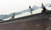 Cặp đôi bất chấp trèo lên nóc ngôi chùa lớn nhất Việt Nam để sống ảo