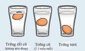 Chỉ 3 mẹo đơn giản, sẽ giúp bạn phân biệt trứng tươi hay trứng hỏng nhanh chóng