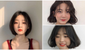 4 kiểu tóc ngắn hot nhất 2020 khiến giới trẻ Hàn Quốc mê mẩn mà chị em nào cũng nên thử