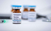 Covid-19: Vaccine ngừa virus corona đã sẵn sàng