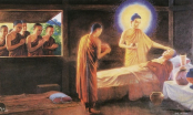 Phật dạy đời người có 4 thứ quả báo, tạo nhân gì thì sẽ gặt hái quả đó