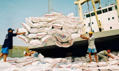 Dịch Covid-19: Việt Nam tạm dừng xuất khẩu gạo