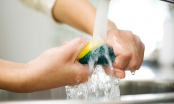Những sai lầm độc hại khiến miếng rửa bát của bạn tích tụ vi khuẩn, gây hại đến sức khỏe gia đình