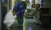 Đại dịch toàn cầu: Hơn 40 y bác sĩ Italy tử vong vì Covid-19