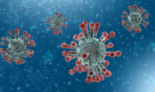 Virus Corona gây ra dịch Covid-19 tại Việt Nam đã tiến hóa