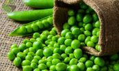 Mẹo bảo quản đậu Hà Lan xanh tươi, giữ nguyên chất dinh dưỡng