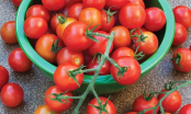 Bỏ túi công thức chữa bệnh từ cà chua, hiệu quả hơn cả thuốc