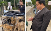 Ca sĩ Quang Lê ra tay “giải cứu” 5 chú chó đang trên đường bị đưa đến lò mổ