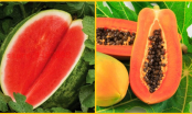 5 loại hoa quả càng để trong tủ lạnh càng nhanh hỏng, biến chất, ăn vào coi chừng ngộ độc