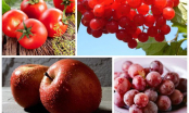 Chỉ đích danh 6 loại quả màu đỏ là khắc tinh của ung thư vú, chị em nên ăn nhiều