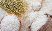 3 loại gạo chứa chất kịch độc, trắng thơm đến mấy cũng không được mua