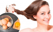 Cẩm nang chăm sóc tóc, trị rụng tóc tại nhà nhờ vào các nguyên liệu tự nhiên