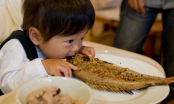 3 sai lầm khi cho trẻ ăn cá làm mất sạch dinh dưỡng, dễ nhiễm độc thủy ngân