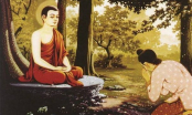 Phật lý giải vì sao có nghiệp báo ''đời cha ăn mặn, đời con khát nước?''