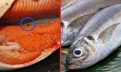 4 bộ phận này của con cá chứa đầy chất độc hại gan thận, người Việt toàn tranh nhau ăn