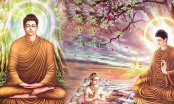 Phật dạy: 5 trường hợp được đầu thai chuyển kiếp làm người